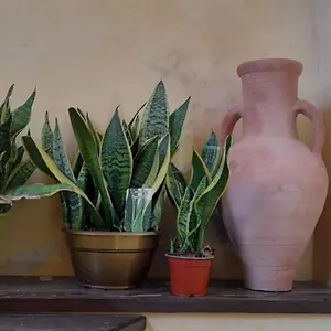 https://alimat-guesthouse.sicilyhotelsitaly.net